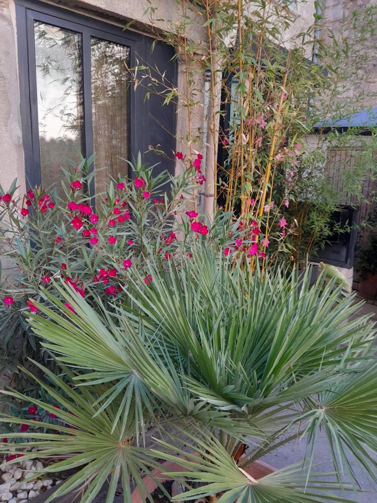 Le Clos Du Rouet 塔拉斯孔 外观 照片